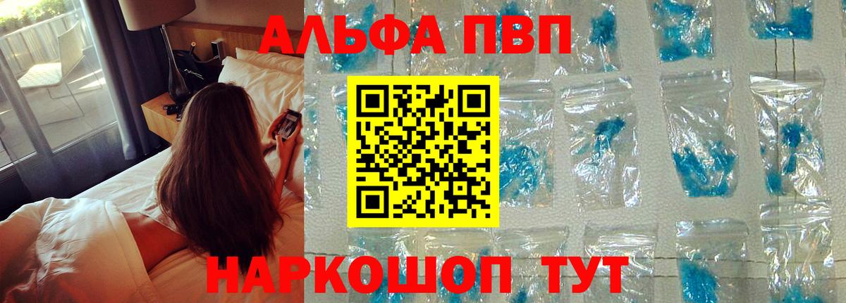 A PVP СК КРИС Гудермес