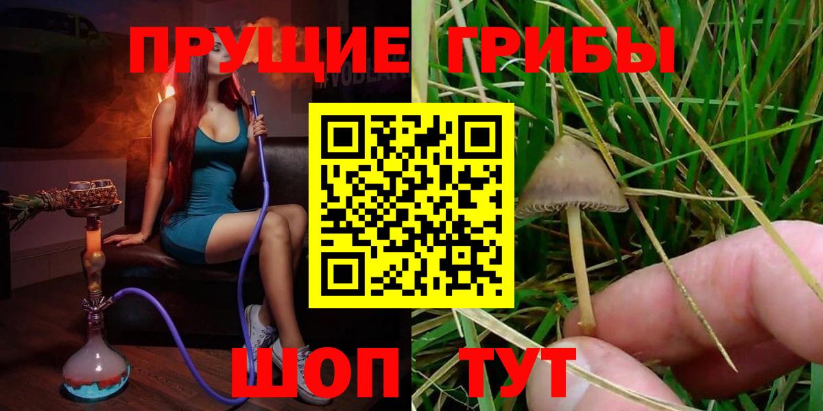 Псилоцибиновые грибы ЛСД Гудермес