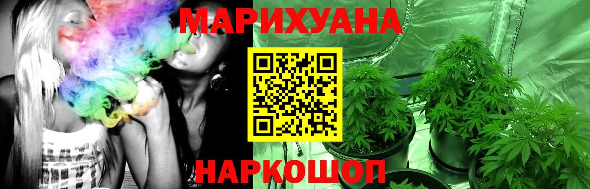 Каннабис семена Гудермес